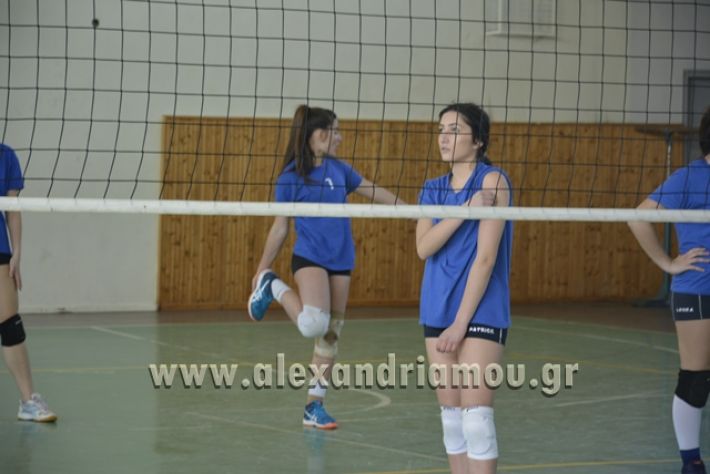 volley_1o-alexandreias-melikis2018 (35)